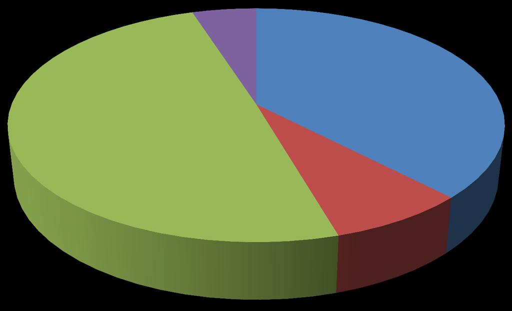 Estado Civil 5% 38% 49% 8%