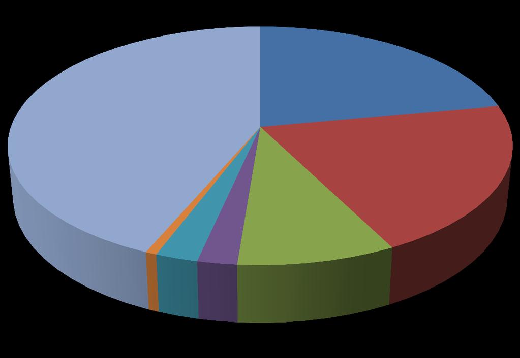 Quantidade de Dependentes Financeiros 44% 9% 22% 20% Somente 1 pessoa.