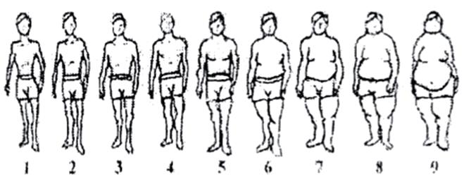 352 O percentual de gordura corporal (%GC) dos indivíduos foi calculado a partir das equações propostas por Slaughter e colaboradores (1988).
