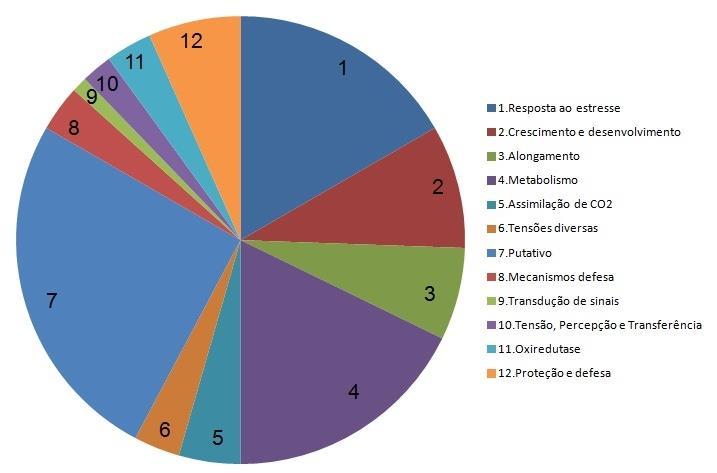 Biotecnologia Tolerância a seca: proteínas identificadas