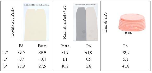 Testes aplicativos iniciais Para complementar, os pigmentos goetita e magnetita na forma de pó e em pasta foram empregados na preparação de uma tinta de recobrimento a base água e o pigmento hematita