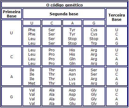 2. Suponha que você isolou uma pequena quantidade de uma proteína rara.