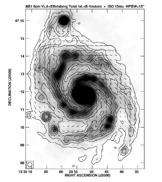 M51 Campo