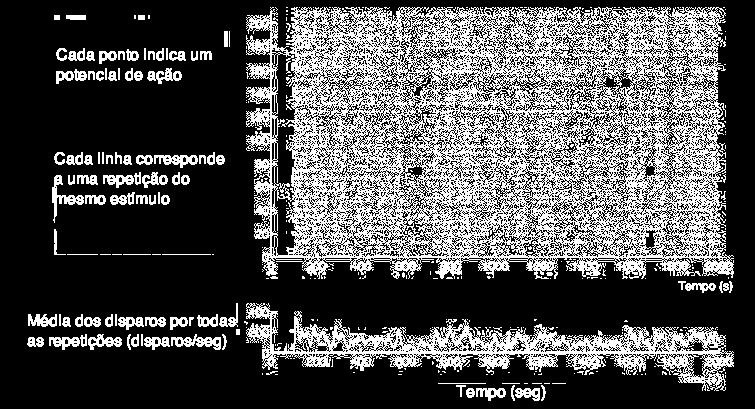 Exemplo de raster plot. O gráfico de baixo dá um exemplo de PSTH (veja a questão 5)