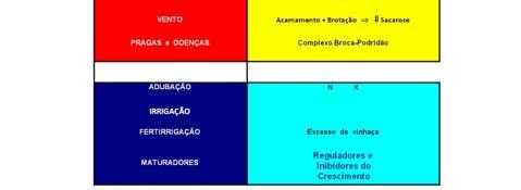 MATURAÇÃO Maturação Teor de sacarose e latitude (Blackbun 1982) MATURAÇÃO Alexander (1973), menciona que para o acúmulo de mais açúcar, as plantas de cana-de-açúcar retardam seu ritmo de crescimento,