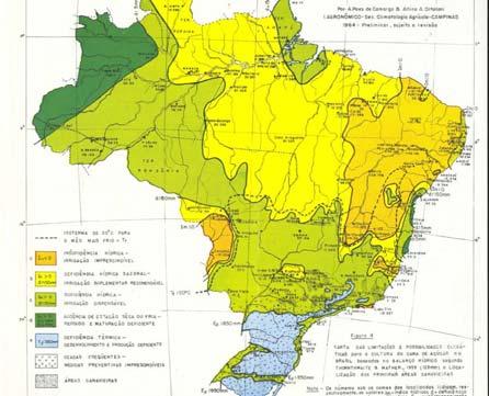 Clima e cana-de-açúcar (Campos/RJ 1991-2) SUMÁRIO Condições climáticas: irregularidade