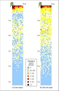 colmo cm C -1,187,223,329,196 C 23,7 22,3 25,5 21,5 SINERGISMO: EFEITOS EXACERBADORES: - seca, falta de Ca em solo