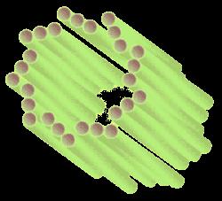 Estruturas formadas de microtúbulos Centríolos fuso mitótico 1 9 núcleo e Golgi 1 par centrossomo nucleação Corpúsculos basais base cílios/flagelos cílios/flagelos 8 7 6 5 2 3 4 microtúbulos