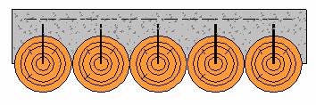 Na Austrália, uma solução simples e econômica foi adotada por YTTRUP e NOLAN (2001), onde foram utilizados conectores formados por pinos de aço verticais, dispostos ao longo de vigas roliças de
