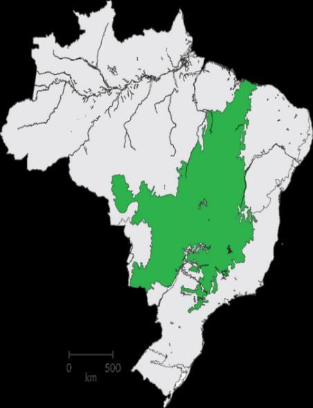 emissions in Brazil if decoupled from deforestation Rafael Silva, Luís G. Barioni, J.A. J. Hall, Marília F.