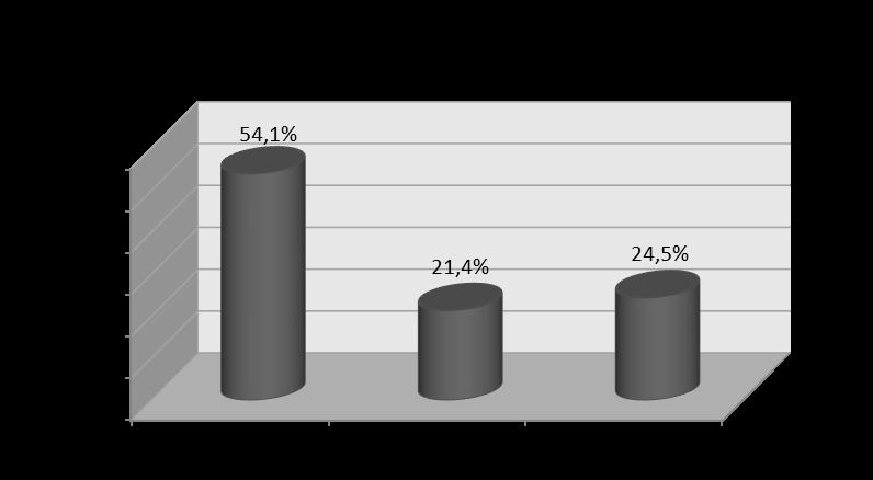 PERFIL DOS ENTREVISTADOS 54,1% 18 a 21