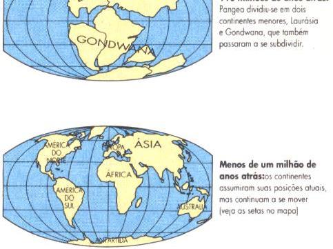 Durante a Era Paleozóica havia apenas três grandes massas continentais, que se uniram ao final dessa era dando