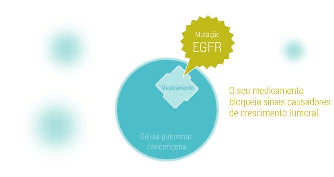 crescimento das células tumorais.