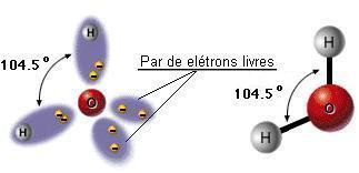 Forças Intemoleculares 3. Pontes de Hidrogênio - Água Água A água, deve possuir um tipo de interação diferenciado.