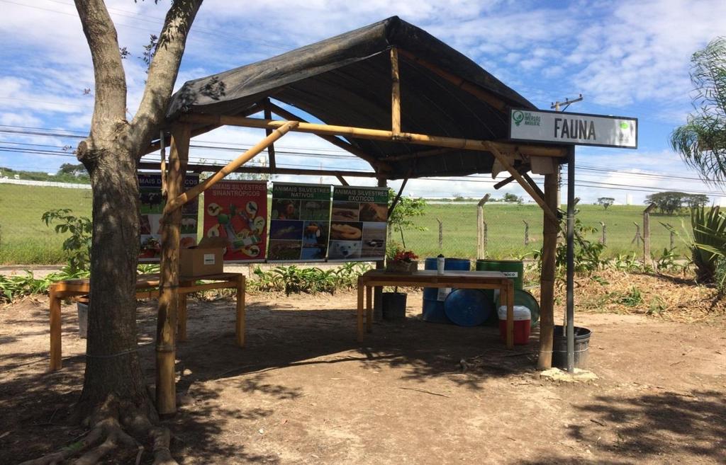 Projeto de Imersão Ambiental