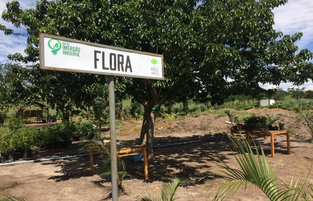 Projeto de Imersão Ambiental