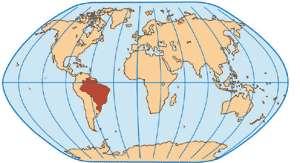 Goode coloca os meridianos centrais da projeção correspondendo aos meridianos quase centrais dos