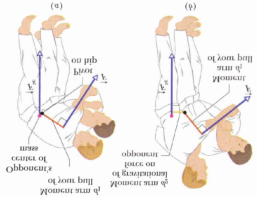 Centro de massa do oponente Braço de alavanca da sua puxada d 1 Braço de alavanca d 2 da força gravitacional sobre o oponente Pivô no quadril Braço de alavanca da sua puxada d 1 Figura 1.