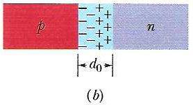 A Junção p-n O que acontece com os portadores de carga próximos ao plano de junção?