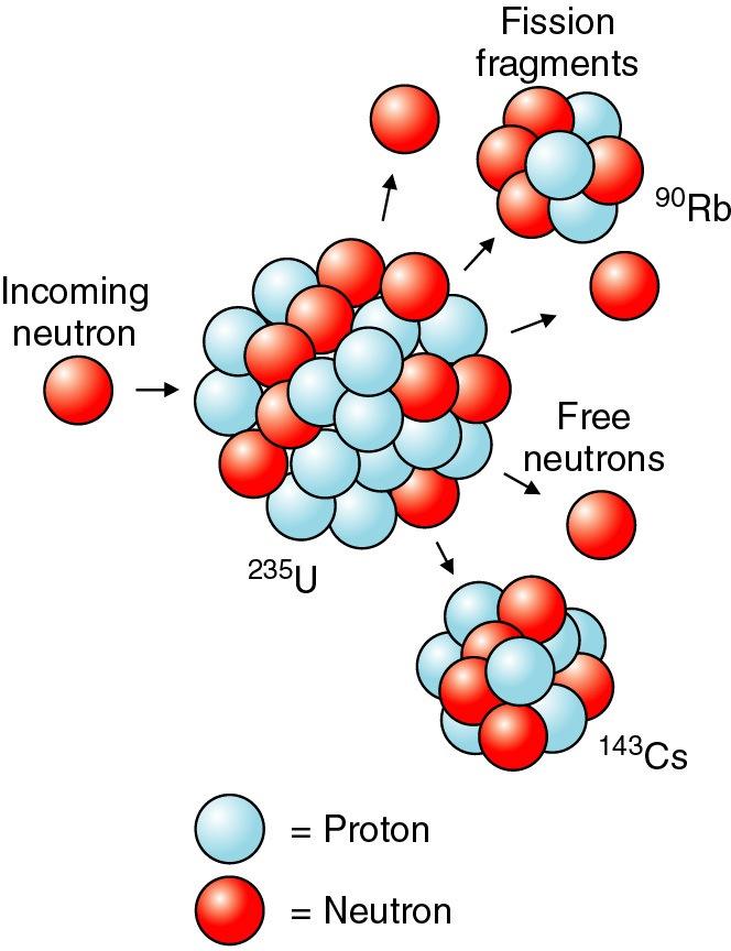 Fissão (ou cisão) nuclear Exemplo Fissão do 235 U 235 143 90 92 56 36 n + U Cs +
