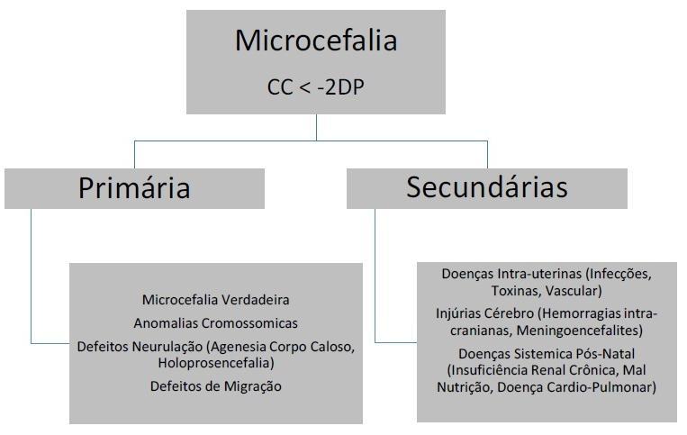 Fonte: Ximeneses, 2015. Em muitos casos, a causa da microcefalia não é conhecida. Entre os motivos conhecidos de microcefalia estão: a) Síndromes ou problemas genéticos, como a síndrome de Down.