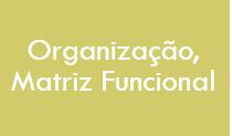 Organização (estrutura) Alinhamento e definição da estratégia (F+E) Áreas de atuação e Processos Chave Matriz Funcional Funções