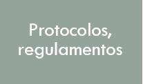 Protocolo Familiar Dimensão Família Guia de conduta da Família em relação à Empresa Um processo espelhado num documento escrito Sensibilização, diálogo e consenso Protocolo de Governo de Sócios