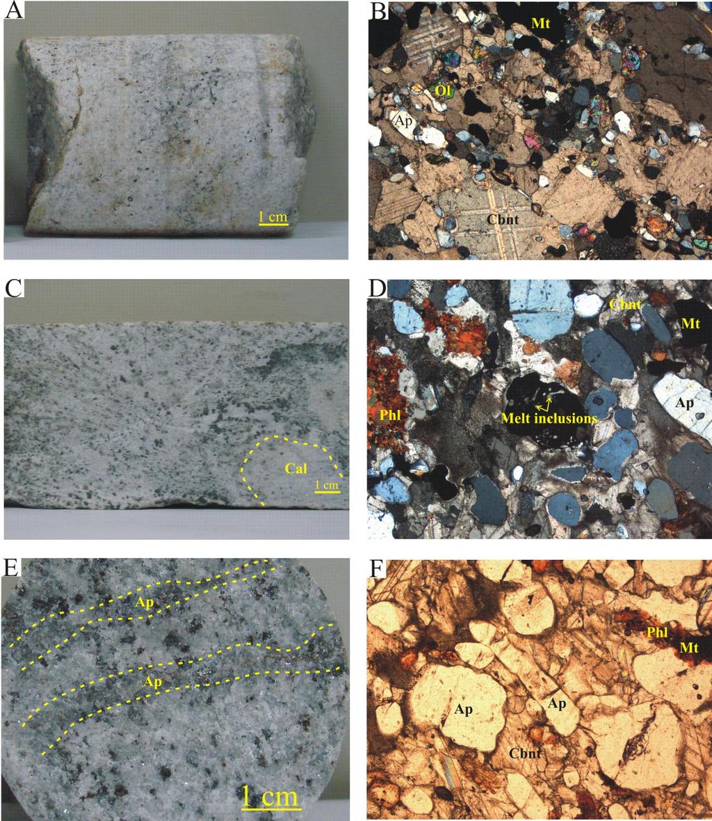 Figure263.7 - Petrographic aspects of SNC apatite calciocarbonatites.