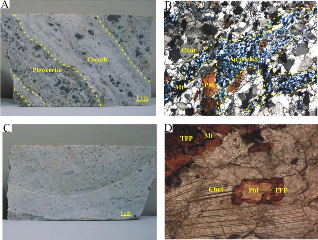 Figure273.8 - Petrographic aspects of SNC calciocarbonatites. (A) Calciocarbonatite band between phoscorite cumulate bands (sample LG14-28-94.3B).