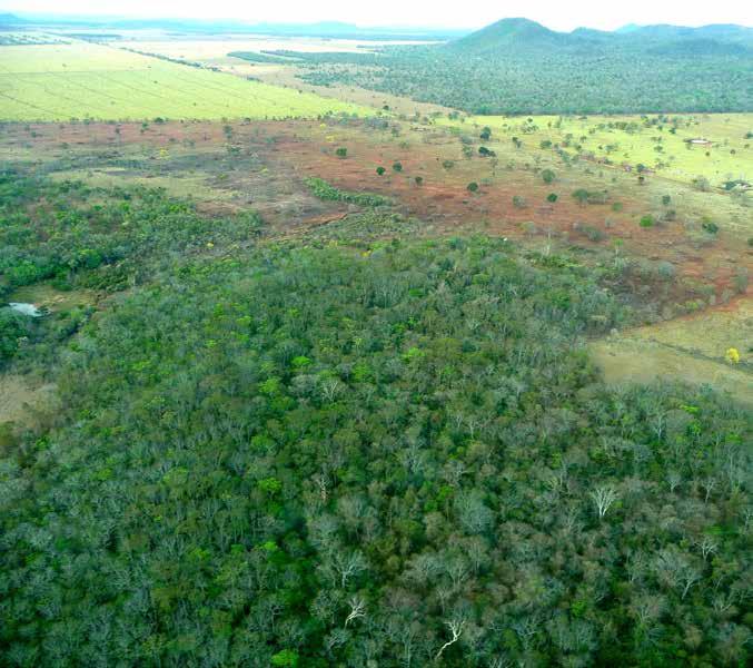 Classe Antrópica: Alteração Antrópica (aa) Áreas onde a vegetação nativa original apresenta sinais de alteração da cobertura natural, no entanto, ainda não foi convertida por completo para o uso de