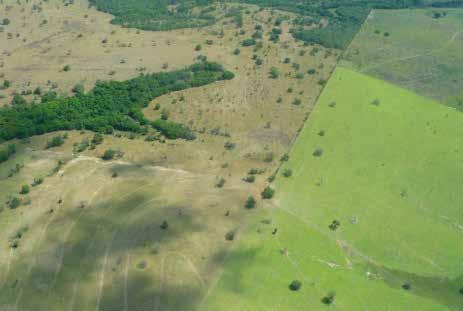 Fotografia: Pastagem em 2012 Localização