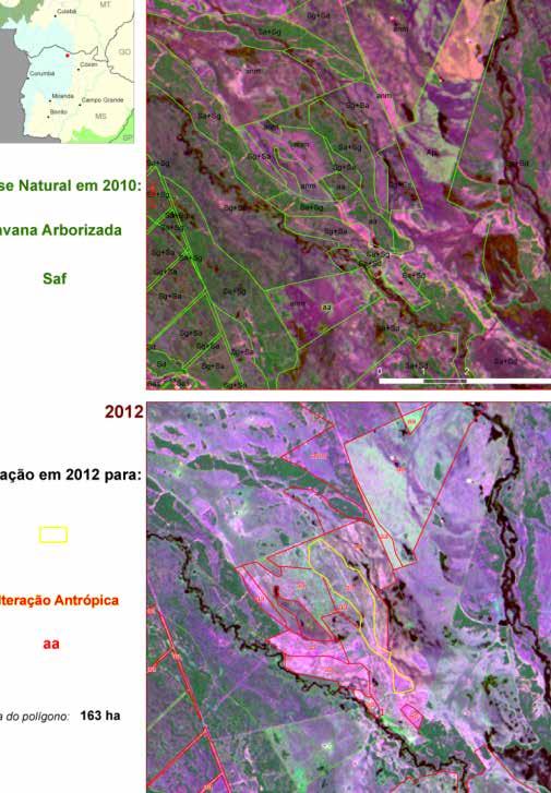 34 Imagem de satélite: Savana