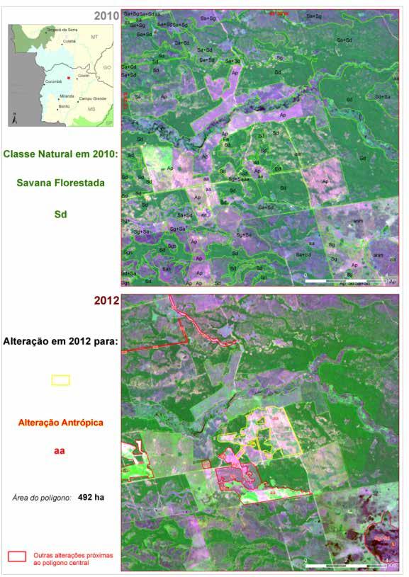 Imagem de satélite: Savana