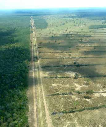 Fotografia: Alteração Antrópica em área de Savana Florestada Remoção de vegetação de porte arbóreo. Localização da Fotografia: Latitude -18.45978 Longitude -55.