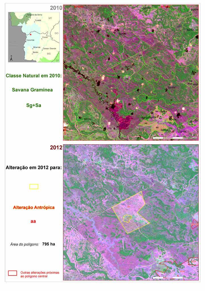 Imagem de satélite: Savana