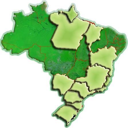 Distribuição Geográfica das Florestas Plantadas Estados Brasileiros 1,7 milhões de