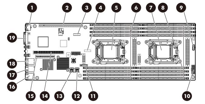 . 6. Desconecte e remova o cabo Mini-SAS ( Remover o cabo Mini-SAS na página 6). 7.