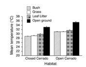 organismo de desenvolver diferentes fenótipo (respostas diferentes) dependendo do seu ambiente é um atributo desenvolvido por seleção natural 25 26 Adaptação em Ambientes Variantes Todos os