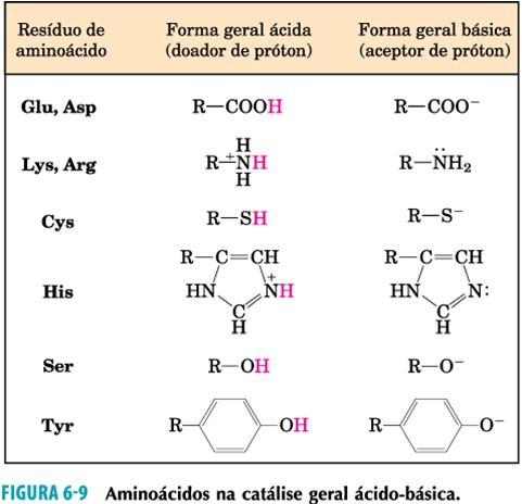 Grupos catalíticos Catálise geral ácido-base Transferência de prótons Catálise covalente