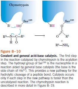 covalente transitória entre E e S Ativação do substrato Catálise por íons metálicos Estabilizam