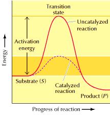 Energia Teoria da catálise O gráfico mostra a variação de energia ao longo de uma reação.
