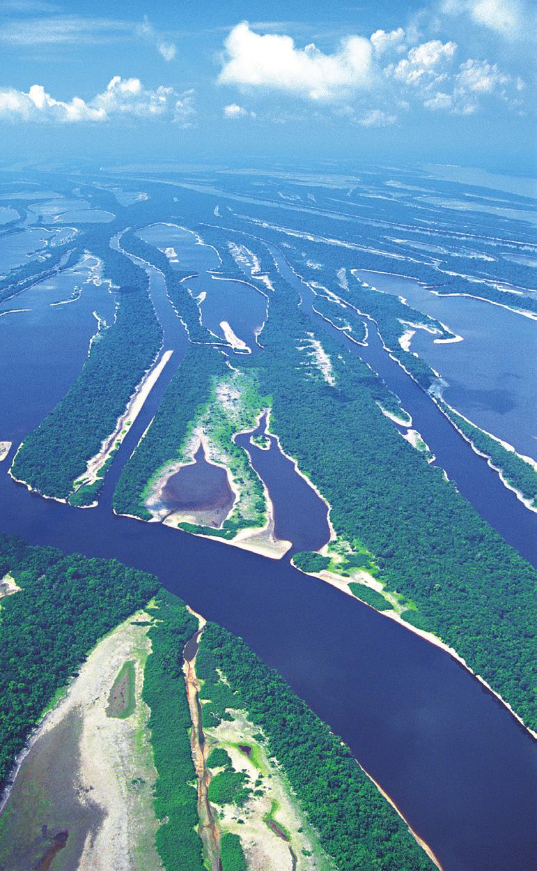 Biodiversidade fotos: ZIG KOCH/HG Água Além de ser a maior reserva de água doce do mundo, a Amazônia tem um papel importante no ciclo das águas.