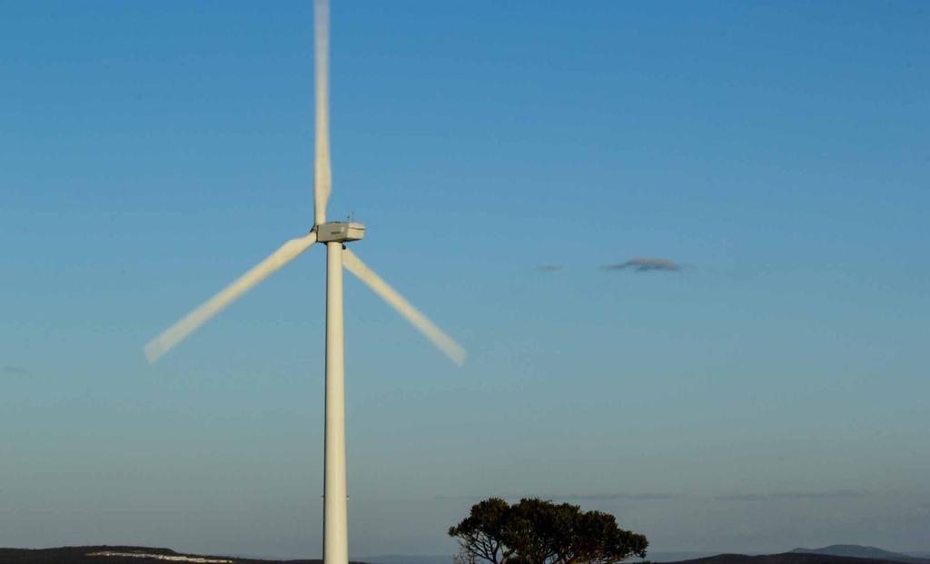 Programas Ambientais Além do excelente desempenho dos parques eólicos na geração de energia elétrica, em um ano também já temos conquistas ambientais.