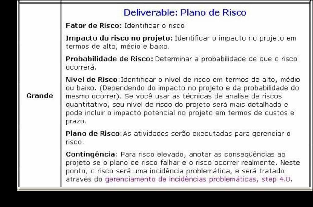 Projetos de grande porte ações contingenciais Ações contingenciais São providências ou