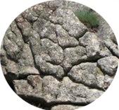 2ª Paragem Fracturação poligonal é o nome dado à pedra tartaruga (designação local).