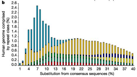 Acima de 40% do genoma humano (e do chimpanzé) corresponde às sequências repetitivas intercaladas (Alus, L1s etc) O registro fóssil das repetições intercaladas humanas Divergência homem - gibão