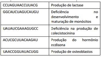 Utilizando as informações acima, responda o que se pede a seguir. a) Que indivíduo provavelmente corresponde a um artrópode?