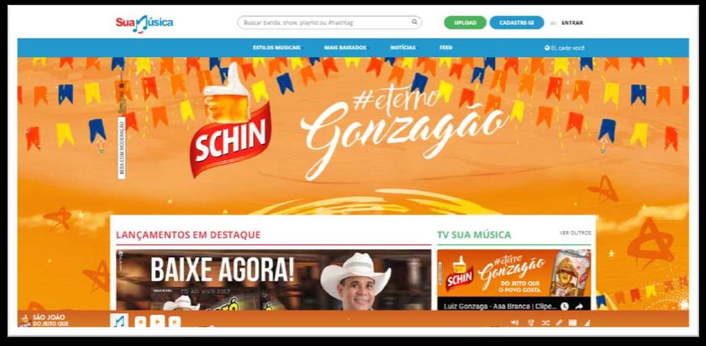 CASE SCHIN São João 2017 PAGEVIEWS 89MM WEB/MOBILE USUÁRIOS