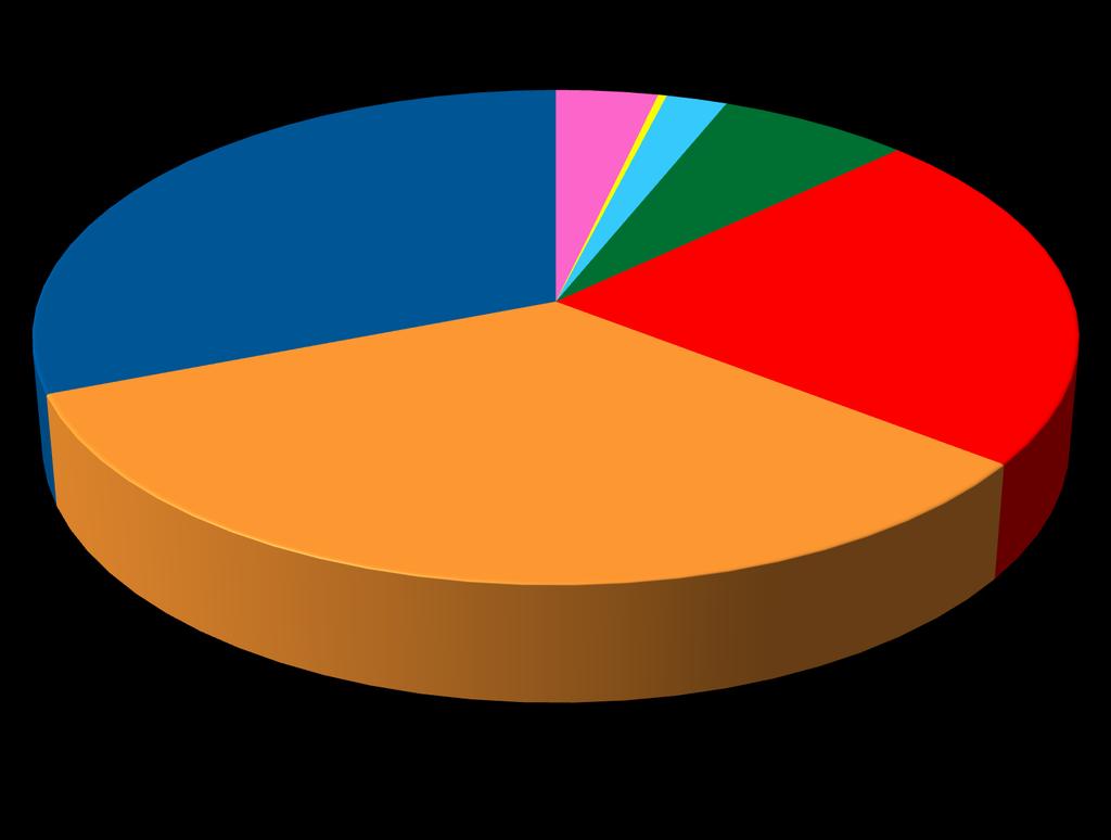 Distribuição cronológica 0,3% 2,2% 30,9% 3,6% 6,8% 33,6% 22,6% até 1400 séc. XV séc. XVI séc. XVII séc.