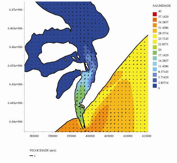 A estrutura vertical salina do estuário foi investigada através da análise de séries temporais de salinidade na camada superficial e de fundo do modelo para um período de 24 dias em quatro diferentes